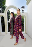 3 PIECE – PRINTED DHANAK SUIT